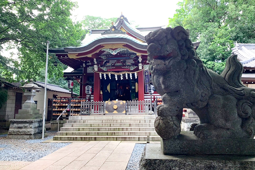 東郷神社　かがり火挙式
