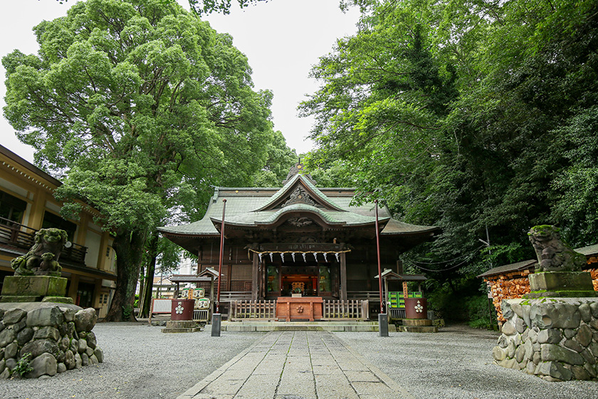 東郷神社　かがり火挙式